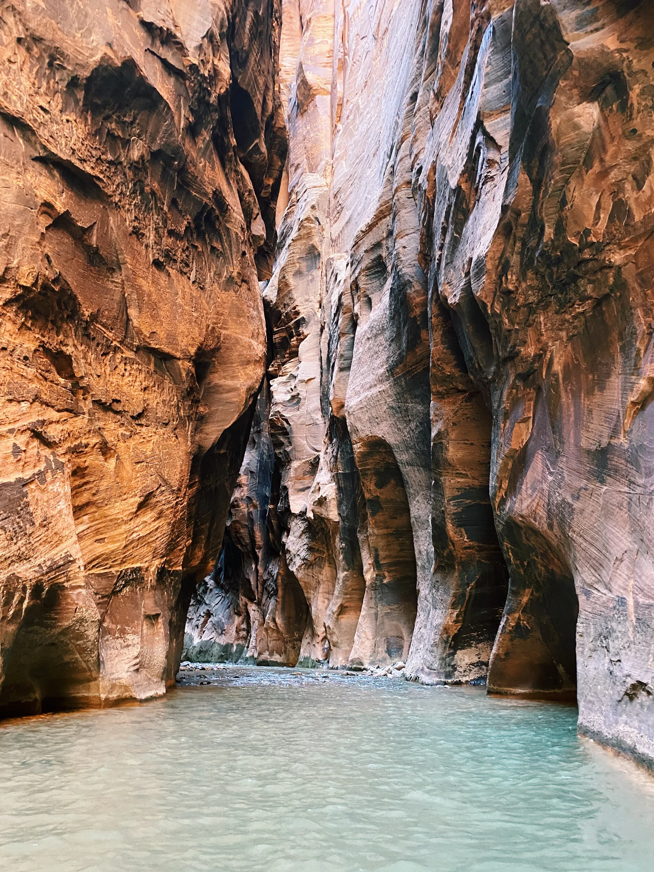 River flowing between the sandstone walls of the Narrows in Zion National Park